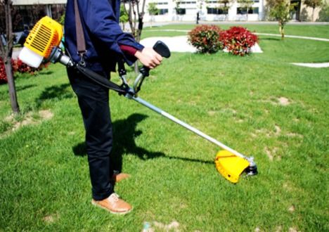 义乌冲天喷雾器一夜爆红 高科技农业新宠，1人轻松应对百亩地